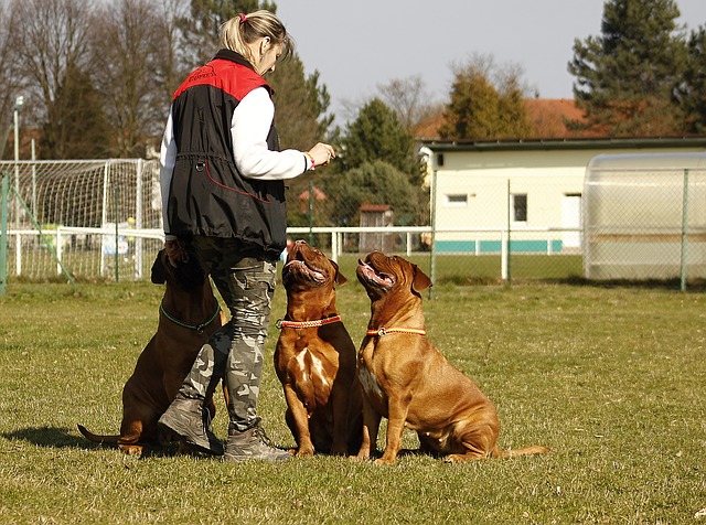 doga